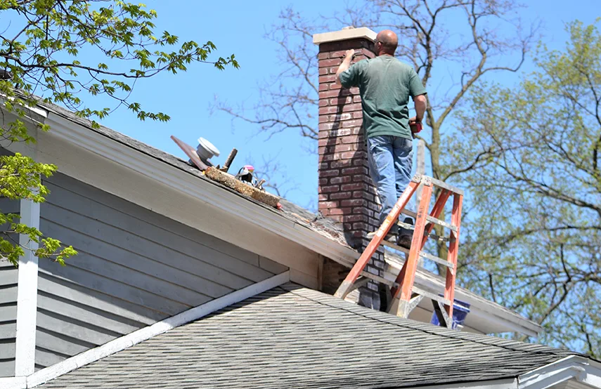 Chimney & Fireplace Inspections Services in Meridian, MS